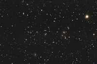 Hercules Galaxy Cluster