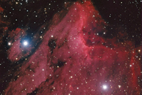 Pelican Nebula