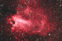 Swan Nebula