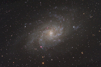 Triangulum Galaxy