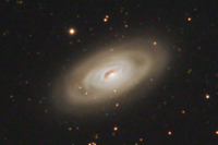 M64