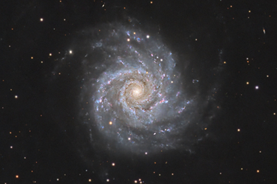 M74