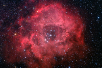 Rosette Nebula