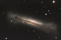 NGC3628