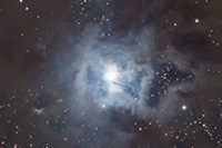 Iris Nebula