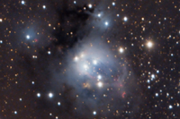 ngc7129