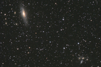 NGC7331