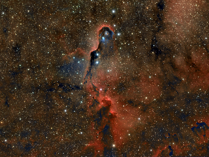 Elephant Trunc Nebula