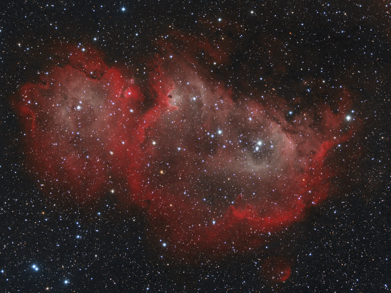 IC1848