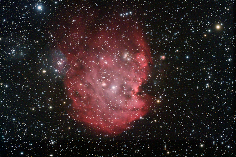 Monkey Head Nebula