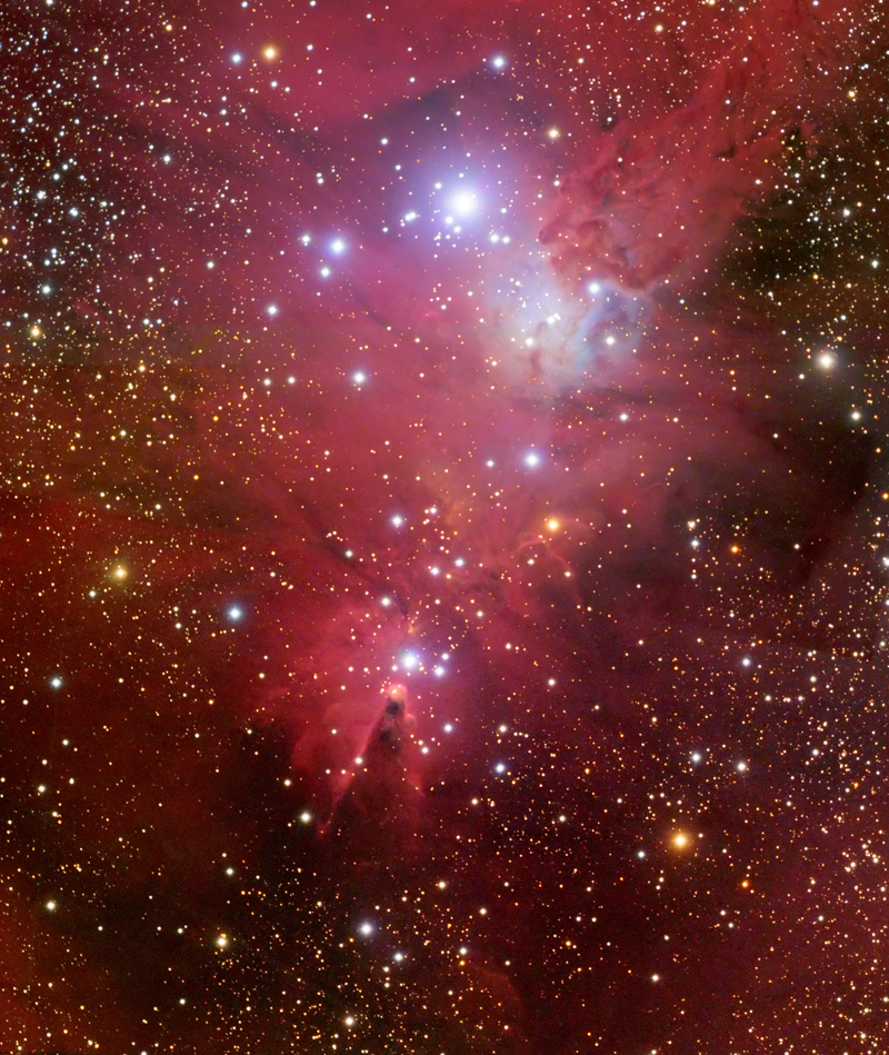 Cone Nebula