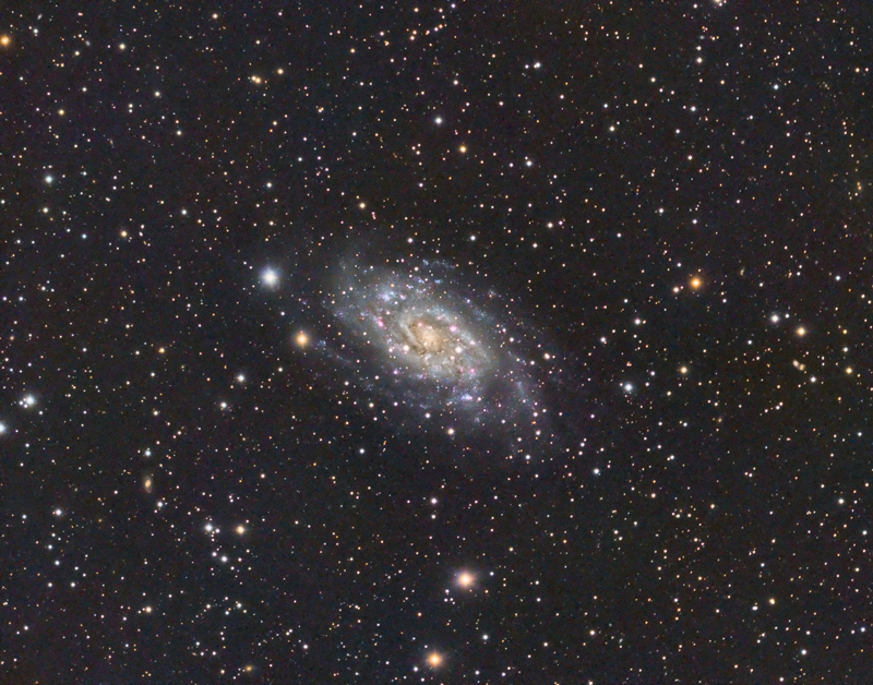 NGC2403