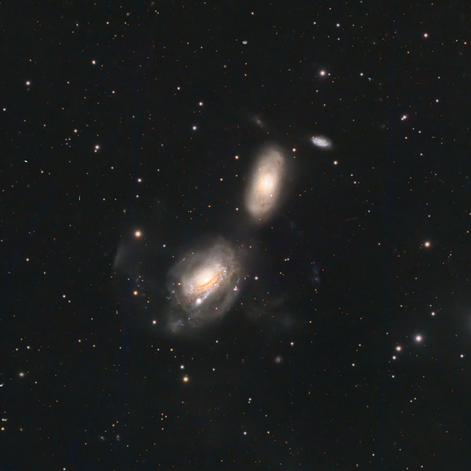 NGC3169