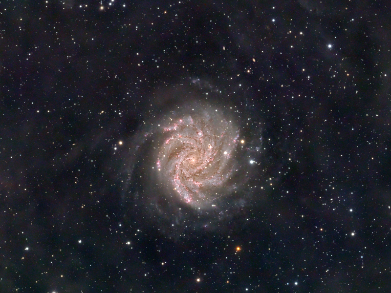 NGC6946