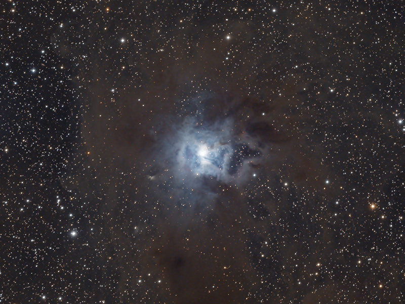 Iris Nebula