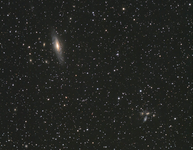 NGC7331