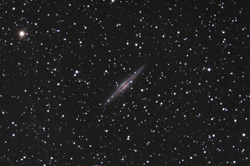 NGC891