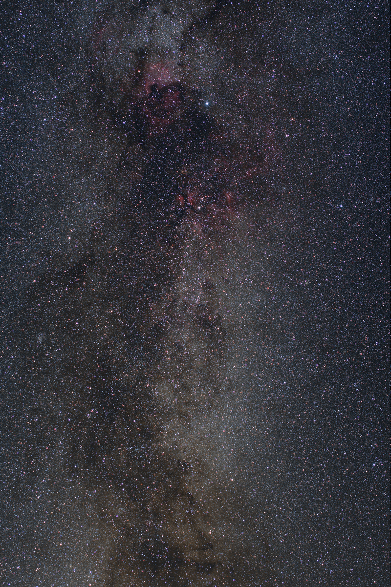 Cygnus